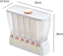 10 Kg Capacity Grain Food Dispenser