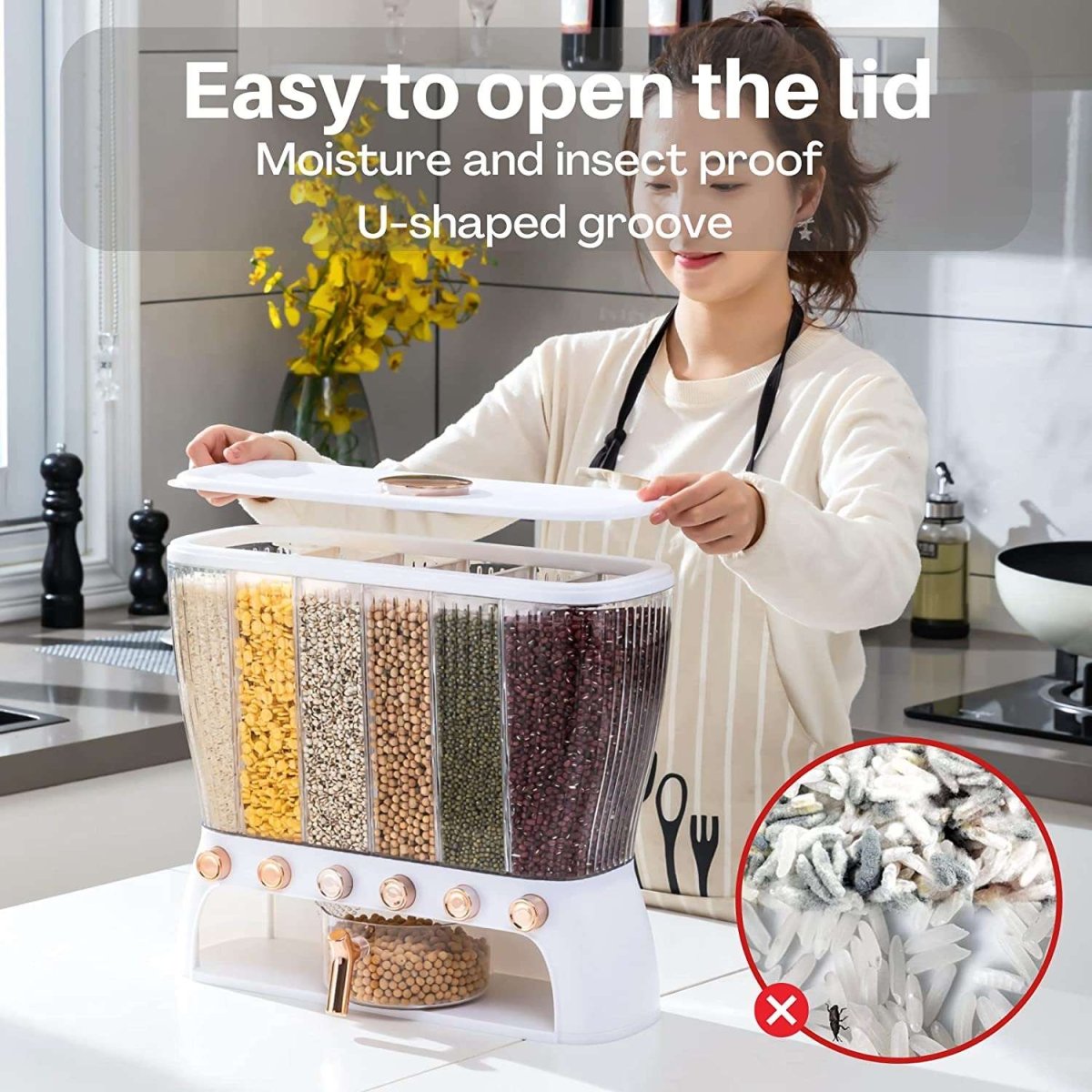 10 Kg Capacity Grain Food Dispenser