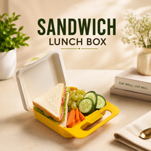 Sandwich Lunch Box with Handle – Random Colour