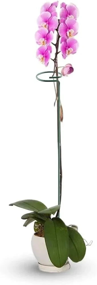 20 Inches Long Plant Support Stakes