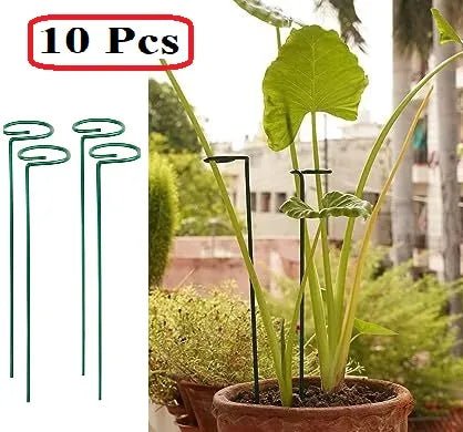 20 Inches Long Plant Support Stakes