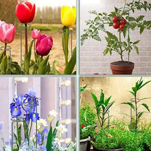 20 Inches Long Plant Support Stakes