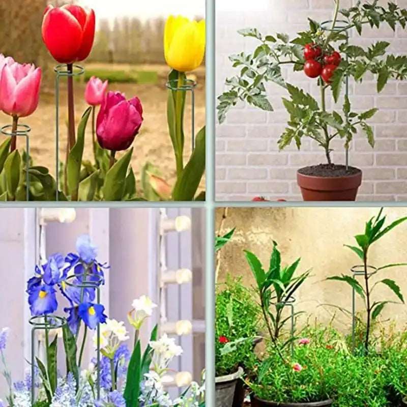 20 Inches Long Plant Support Stakes