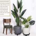Rolling Round Plant Pot Stand with 3 Wheels – Heavy Duty Indoor/Outdoor Plant Caddy