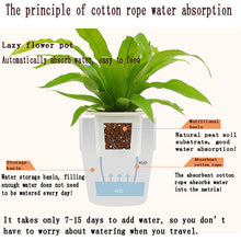 Wall Hanging Self Watering Flower Pot, Indoor Plastic Planter With Cotton Rope & Hanging Stand, Stand & Container For Water, Self Watering Style Lazy Pot & Iron Stand