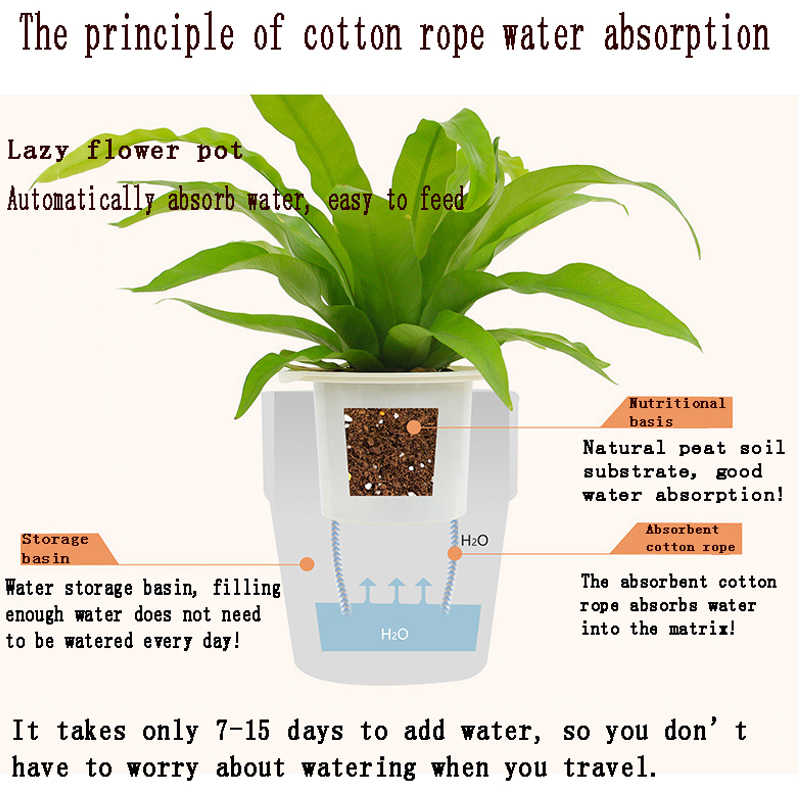 Wall Hanging Self Watering Flower Pot, Indoor Plastic Planter With Cotton Rope & Hanging Stand, Stand & Container For Water, Self Watering Style Lazy Pot & Iron Stand