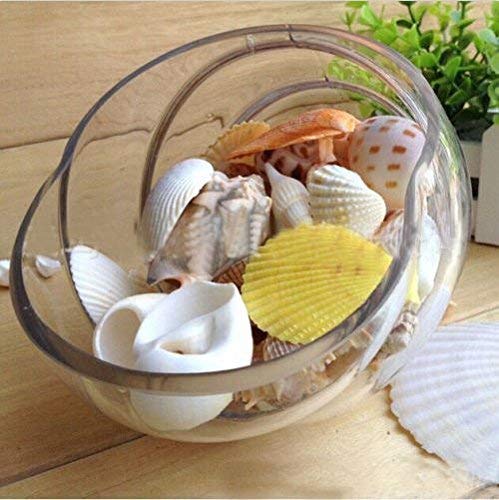 Mixed Natural Seashells Craft Wedding Garden Aquarium Decoration/Random Sending