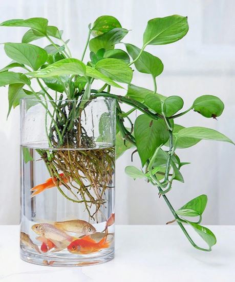 Acrylic Clear Cylinder Flower Vase
