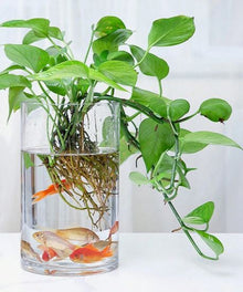 Acrylic Clear Cylinder Flower Vase