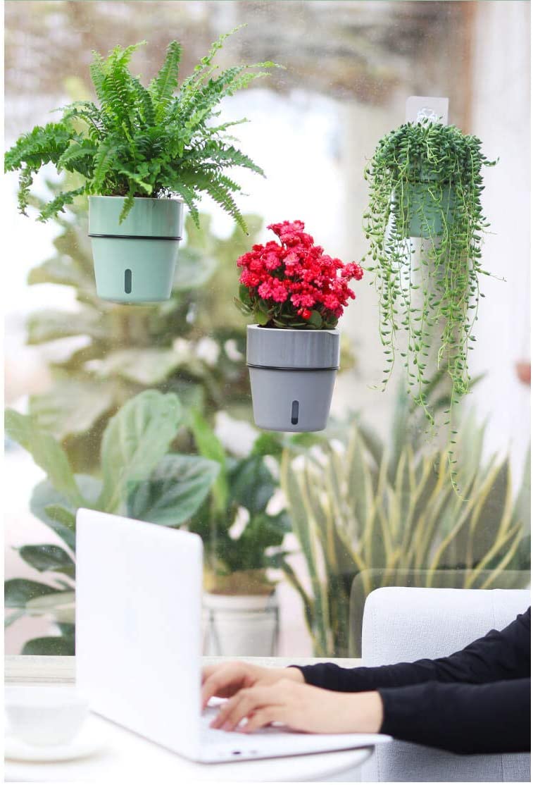 Wall Hanging Self Watering Flower Pot, Indoor Plastic Planter With Cotton Rope & Hanging Stand, Stand & Container For Water, Self Watering Style Lazy Pot & Iron Stand
