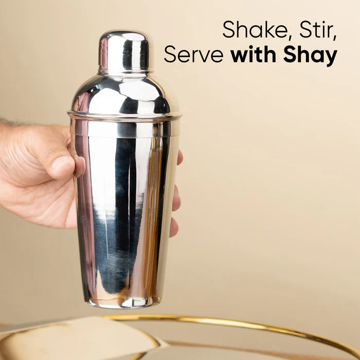 Cocktail Shaker | Stainless Steel Drink Mixer