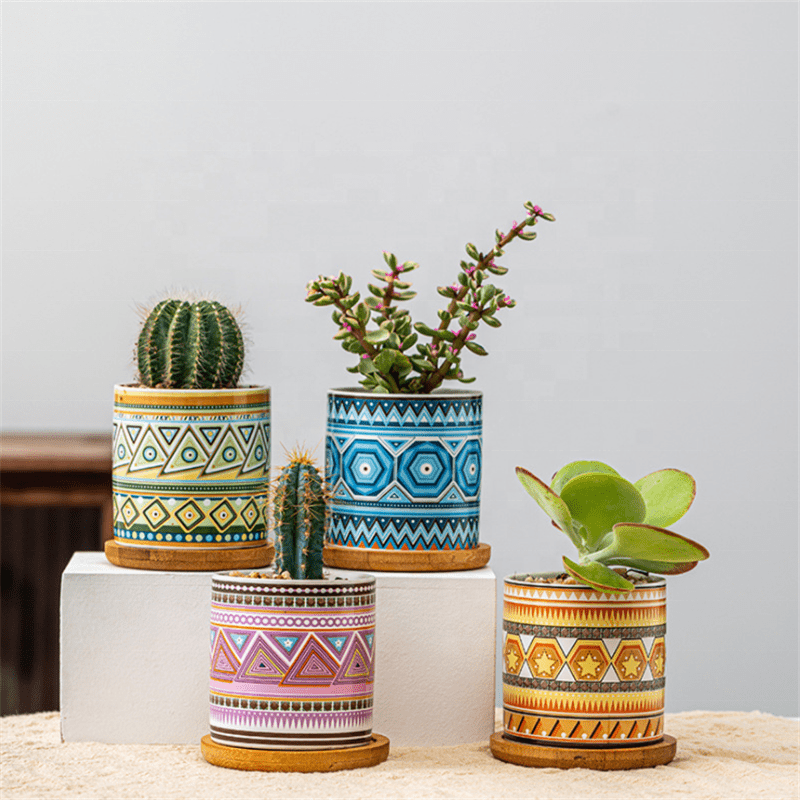 Cylindrical Mini Ceramic Succulent Planters with Bamboo Tray