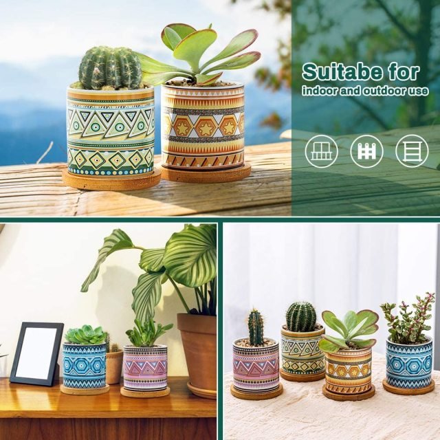 Cylindrical Mini Ceramic Succulent Planters with Bamboo Tray