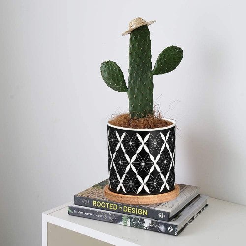 Cylindrical Mini Ceramic Succulent Planters with Bamboo Tray