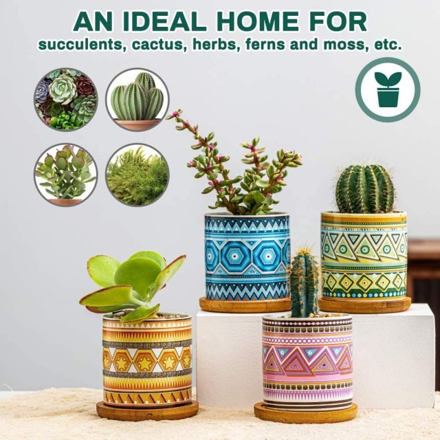 Cylindrical Mini Ceramic Succulent Planters with Bamboo Tray