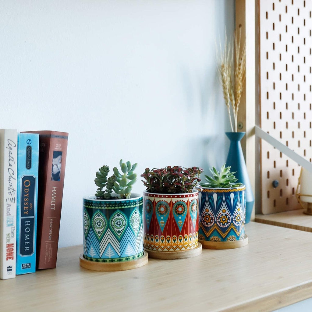 Cylindrical Mini Ceramic Succulent Planters with Bamboo Tray