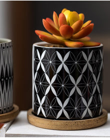 Cylindrical Mini Ceramic Succulent Planters with Bamboo Tray