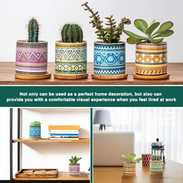 Cylindrical Mini Ceramic Succulent Planters with Bamboo Tray