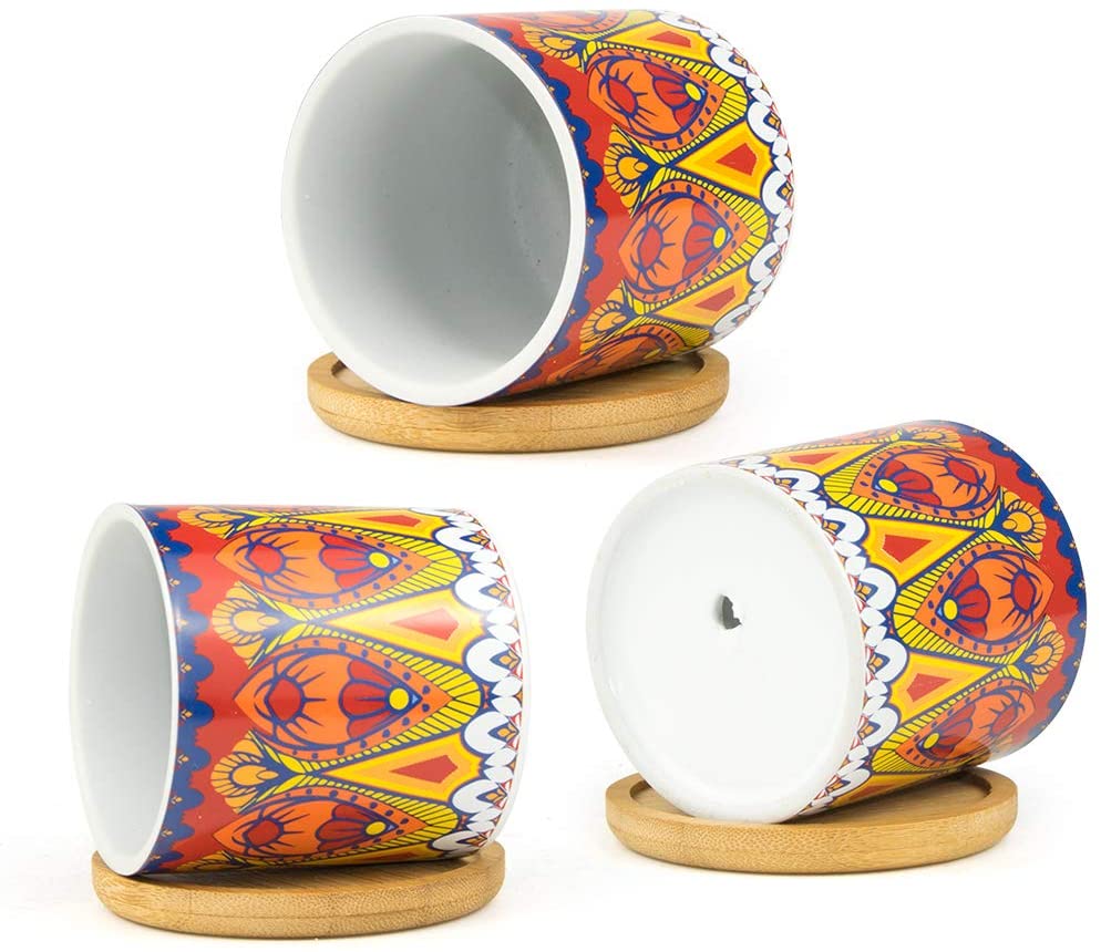 Cylindrical Mini Ceramic Succulent Planters with Bamboo Tray