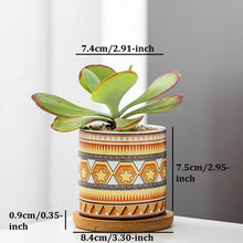 Cylindrical Mini Ceramic Succulent Planters with Bamboo Tray