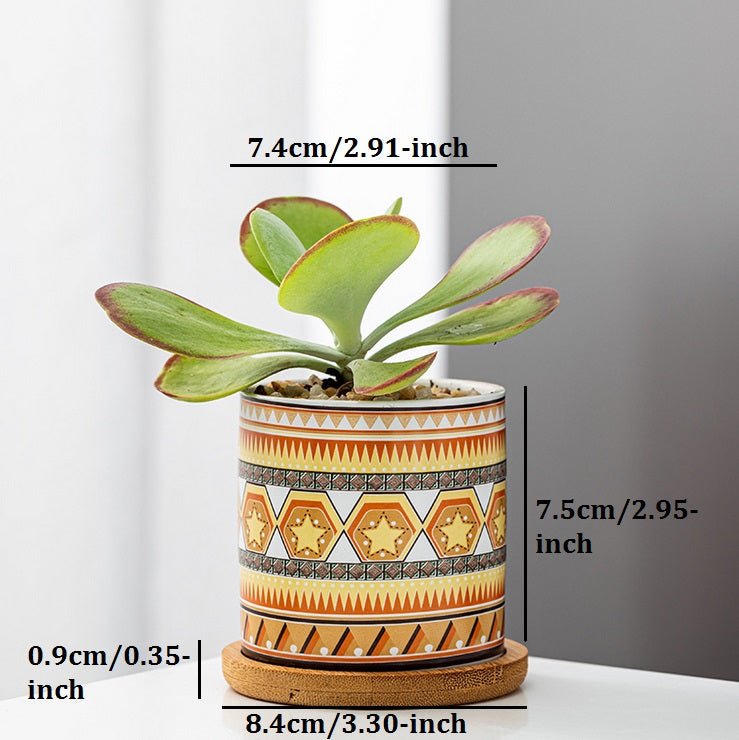 Cylindrical Mini Ceramic Succulent Planters with Bamboo Tray