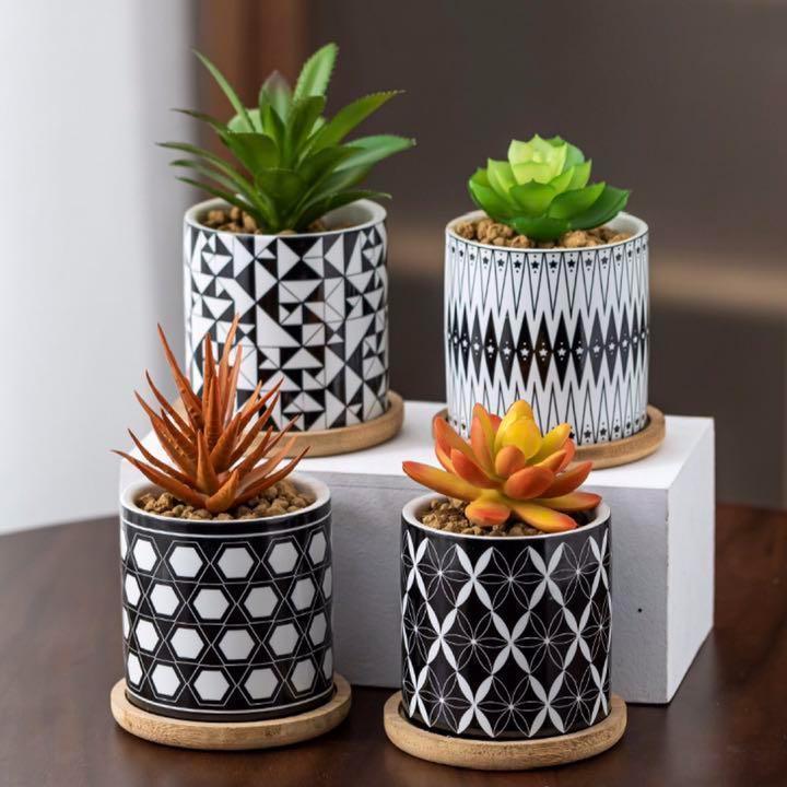 Cylindrical Mini Ceramic Succulent Planters with Bamboo Tray