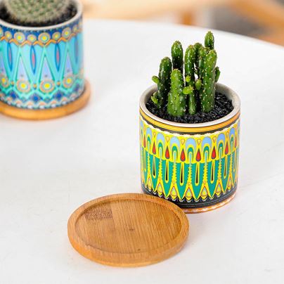 Cylindrical Mini Ceramic Succulent Planters with Bamboo Tray
