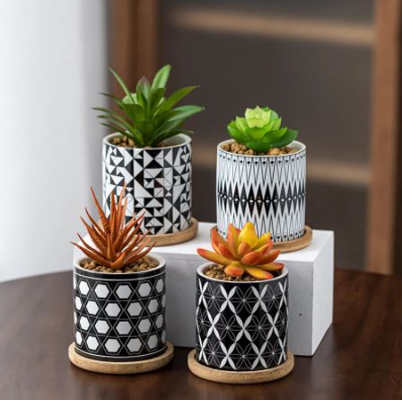 Cylindrical Mini Ceramic Succulent Planters with Bamboo Tray