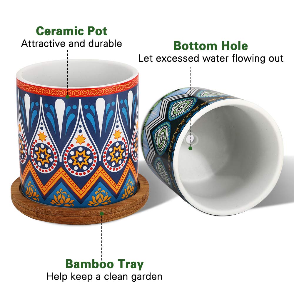 Cylindrical Mini Ceramic Succulent Planters with Bamboo Tray