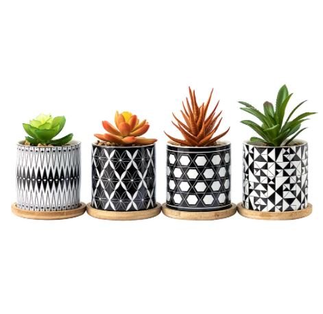 Cylindrical Mini Ceramic Succulent Planters with Bamboo Tray