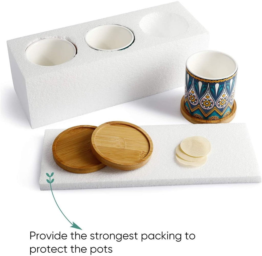 Cylindrical Mini Ceramic Succulent Planters with Bamboo Tray