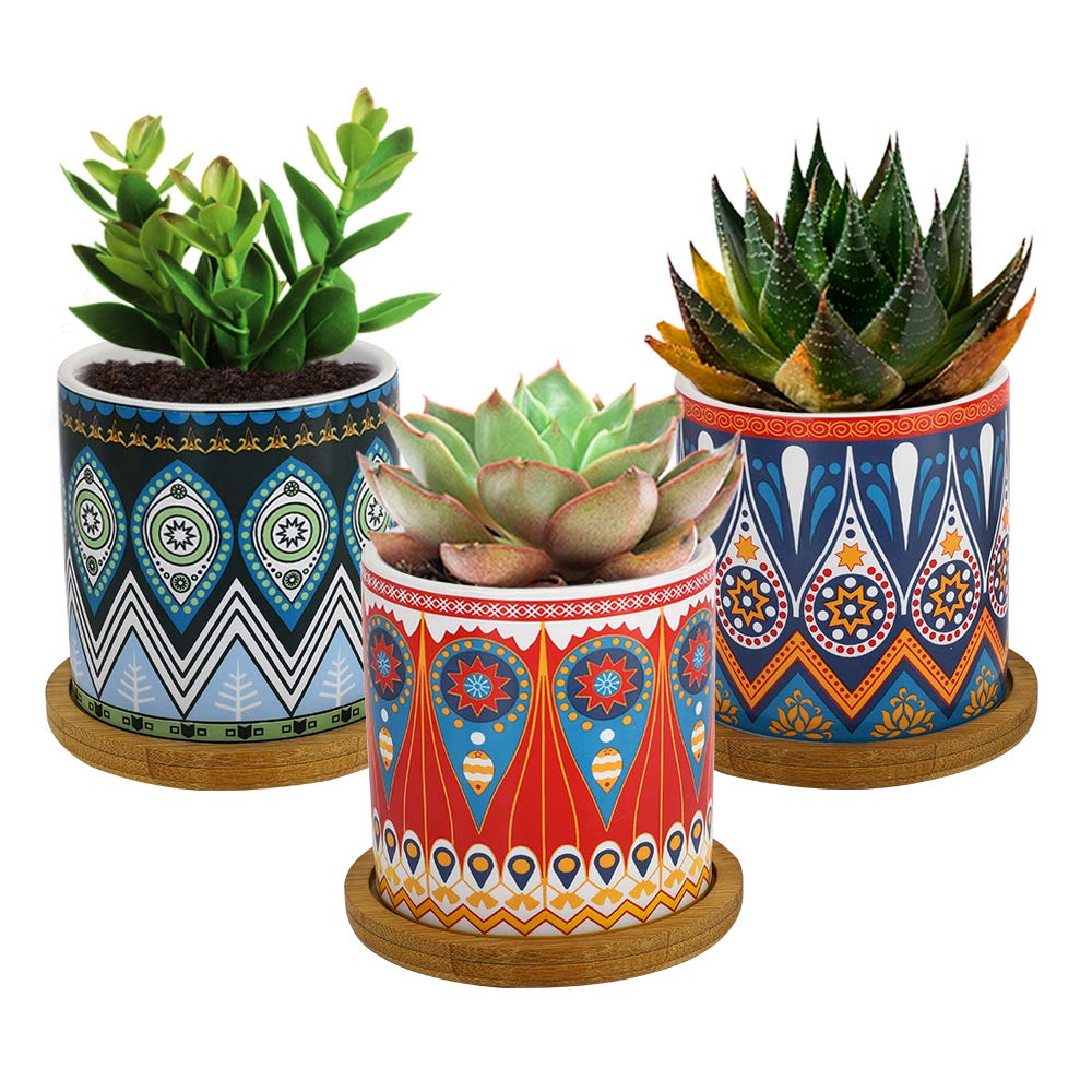 Cylindrical Mini Ceramic Succulent Planters with Bamboo Tray