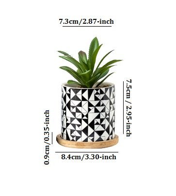 Cylindrical Mini Ceramic Succulent Planters with Bamboo Tray