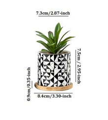 Cylindrical Mini Ceramic Succulent Planters with Bamboo Tray