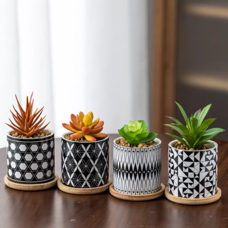 Cylindrical Mini Ceramic Succulent Planters with Bamboo Tray