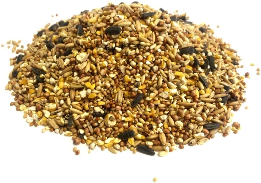 Mixed Bird Feed, Birds Food