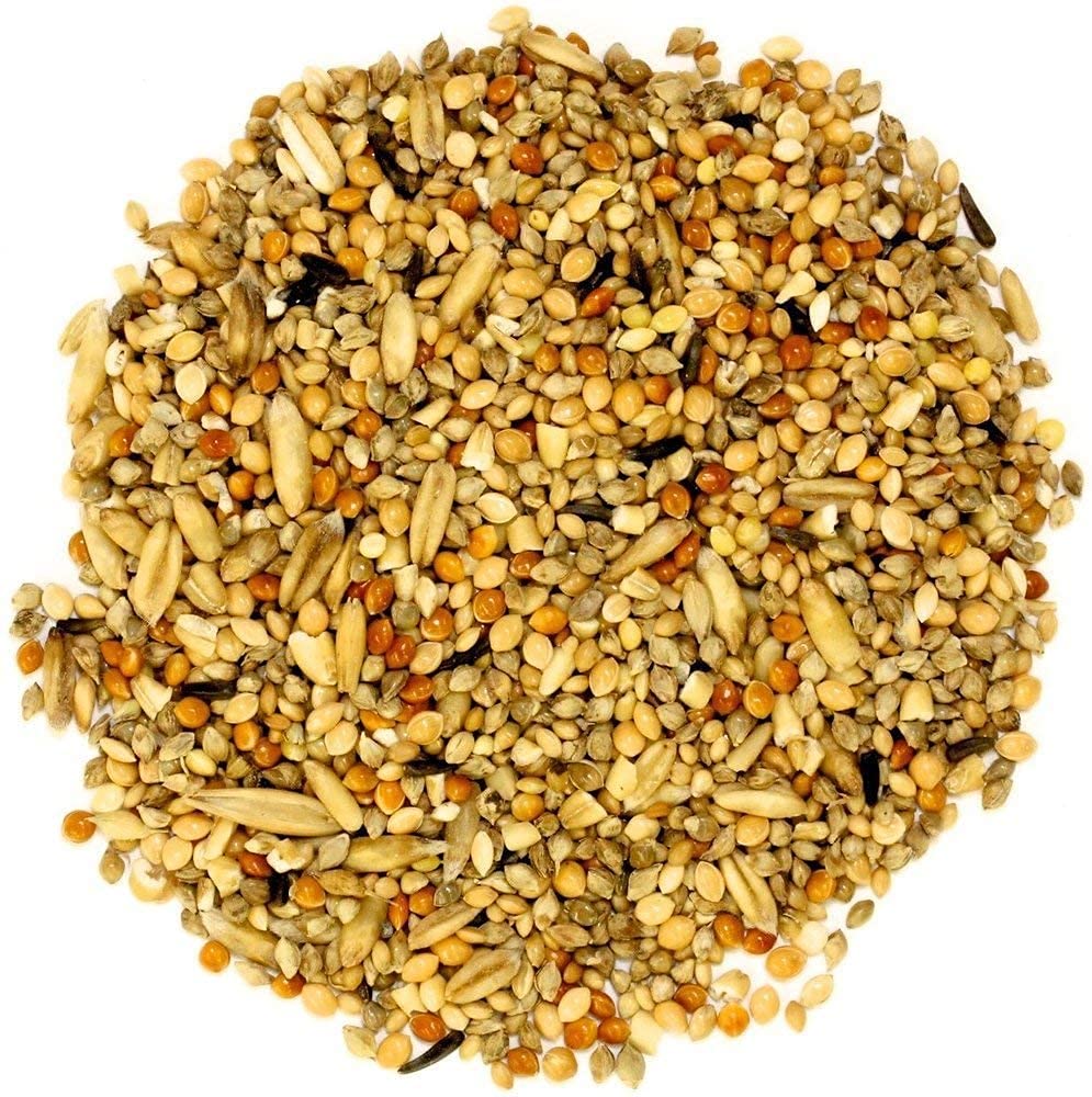 Mixed Bird Feed, Birds Food