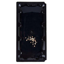 Pack of 2 - Glue Pit Poison Free Adhesive Mouse Glue Traps