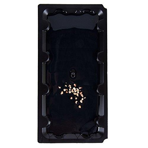 Pack of 2 - Glue Pit Poison Free Adhesive Mouse Glue Traps