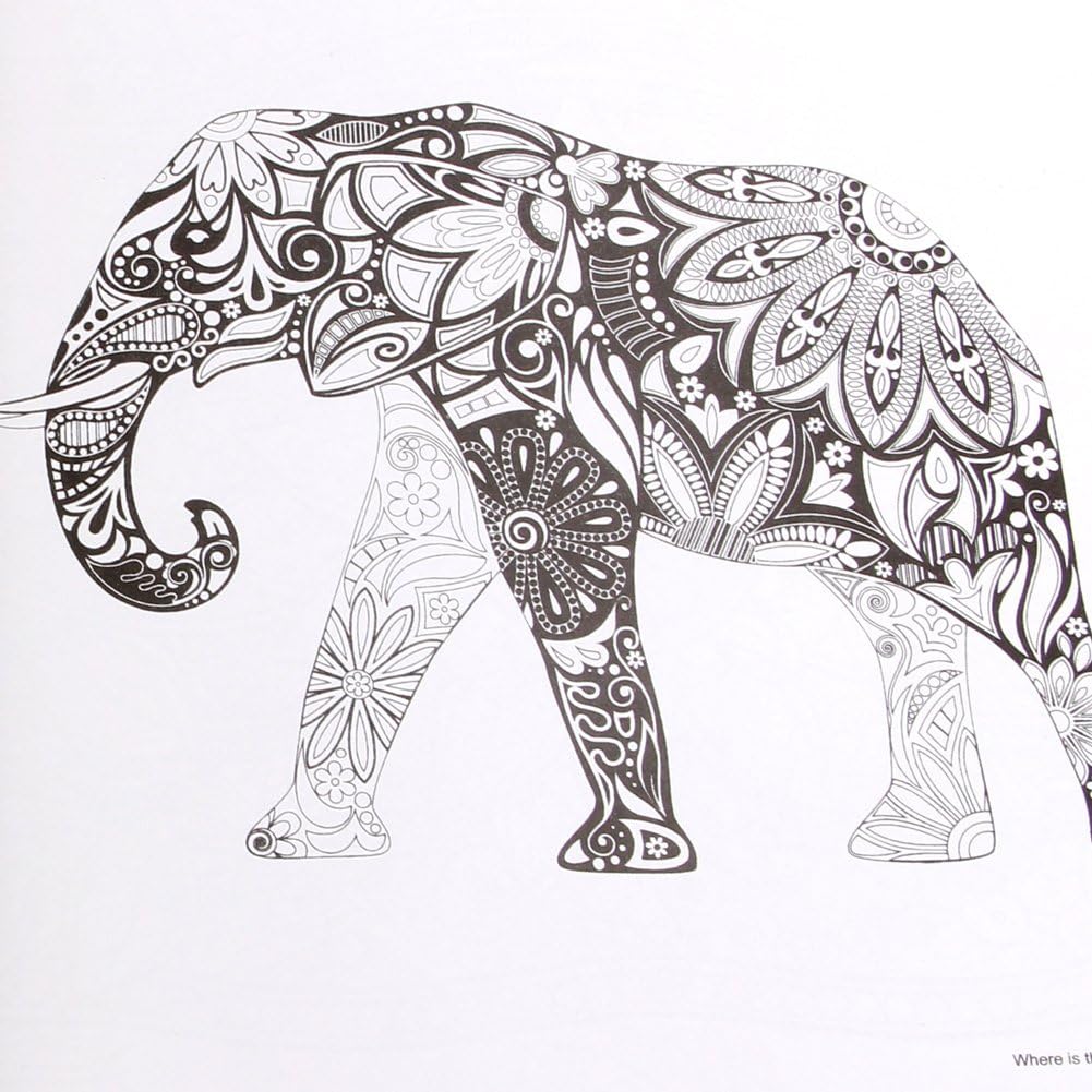 Pack of 8 - Random Design Coloring Books