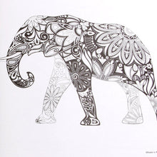 Pack of 8 - Random Design Coloring Books