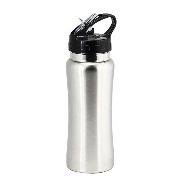 Portable Stainless Steel Water Bottle With Straw - 650 ML
