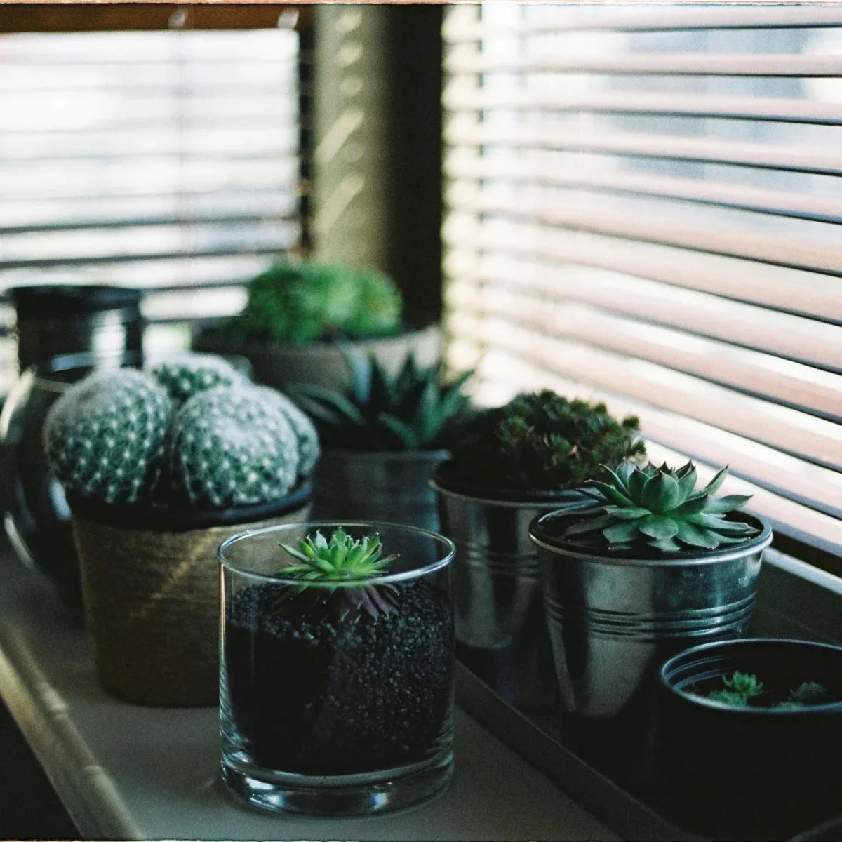 Round Clear Glass Vase