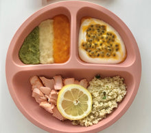 Silicone Baby Suction Plate