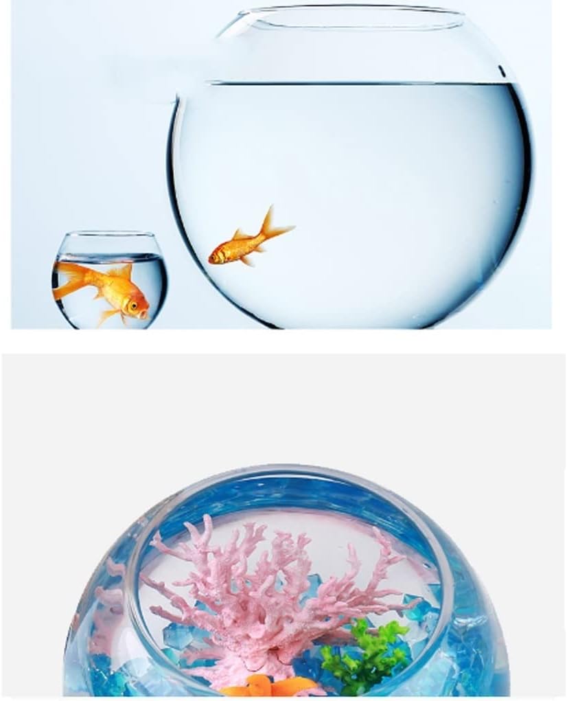 Transparent Decorative Fish Bowl