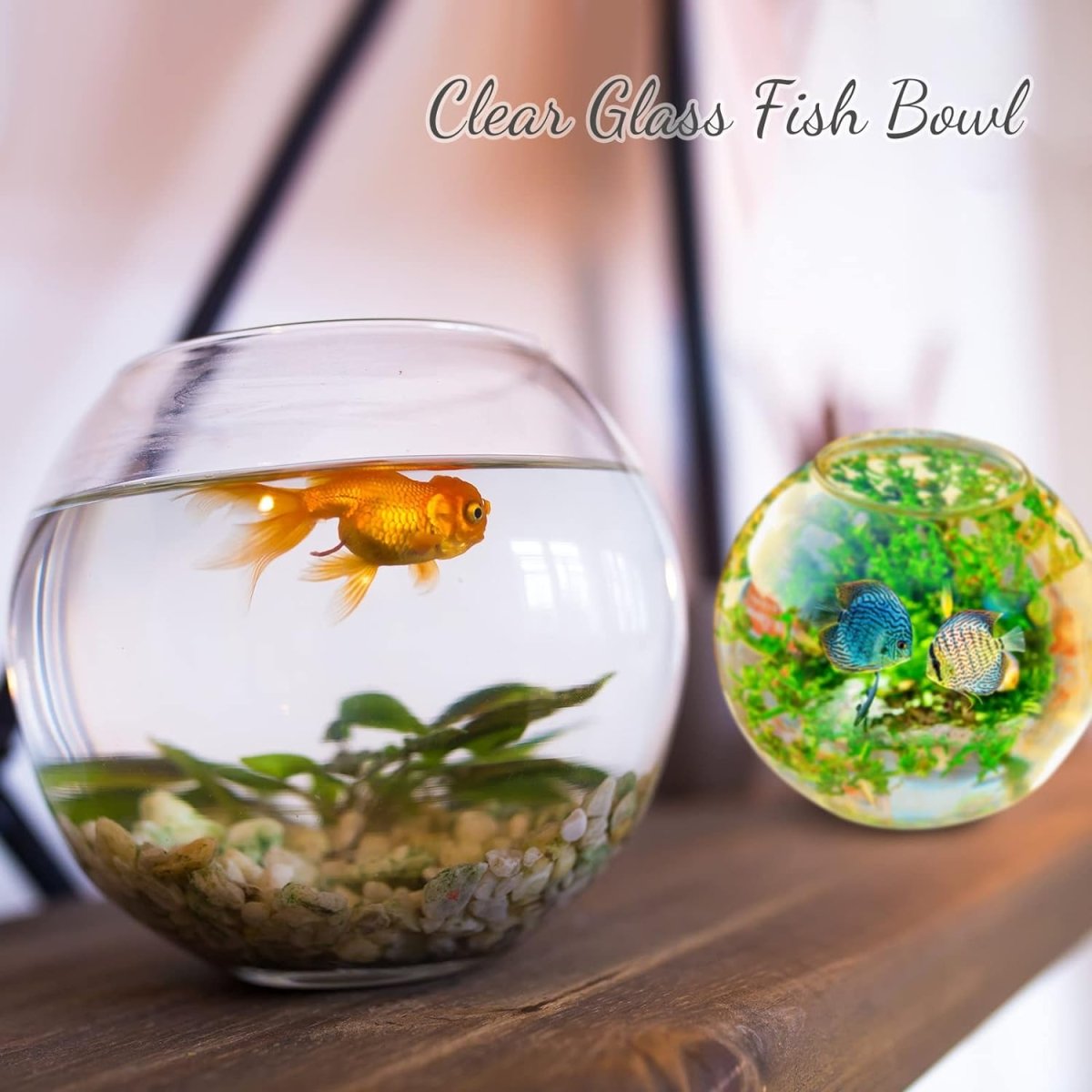 Transparent Decorative Fish Bowl