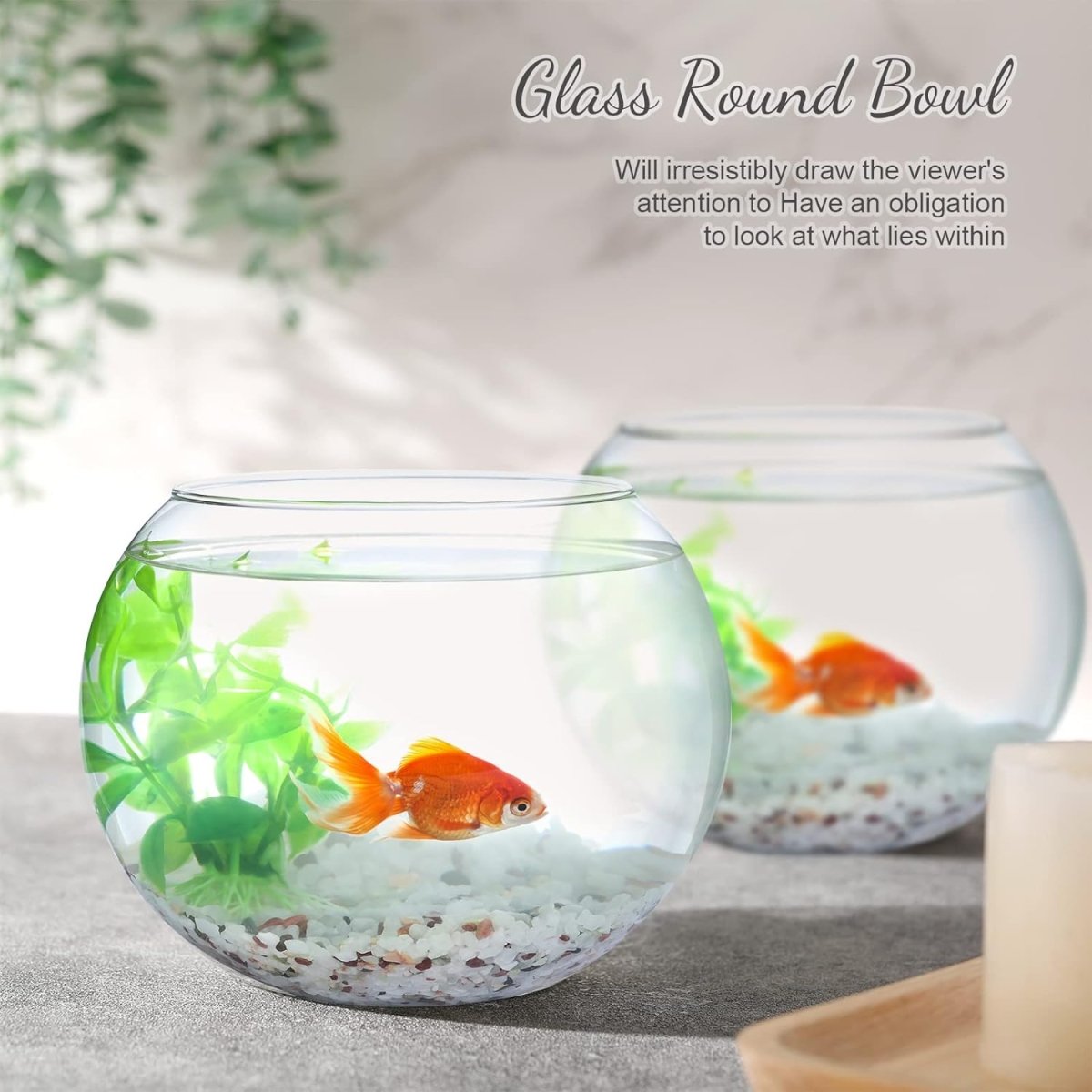 Transparent Decorative Fish Bowl