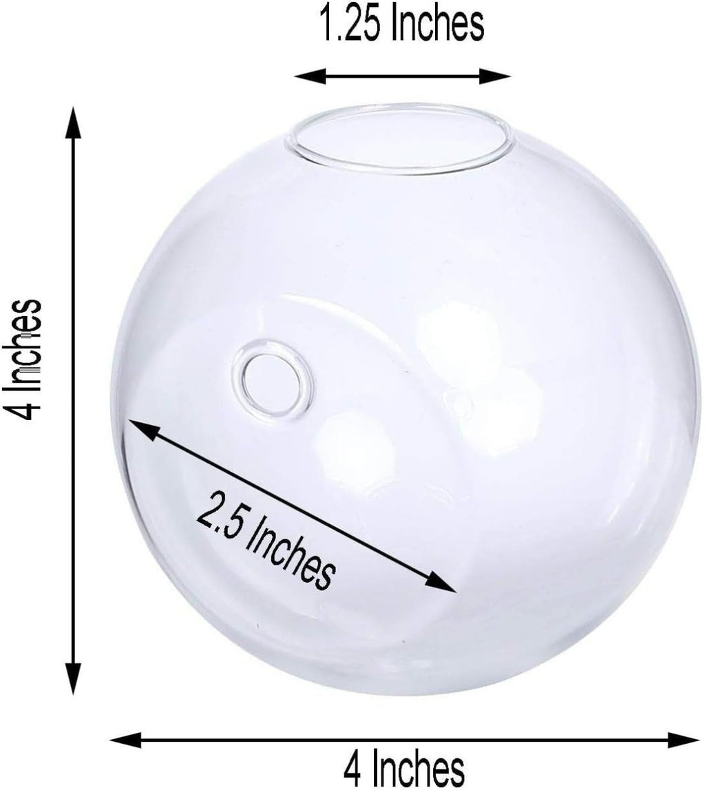 Wall Mounted Hanging Glass Vase