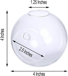 Wall Mounted Hanging Glass Vase