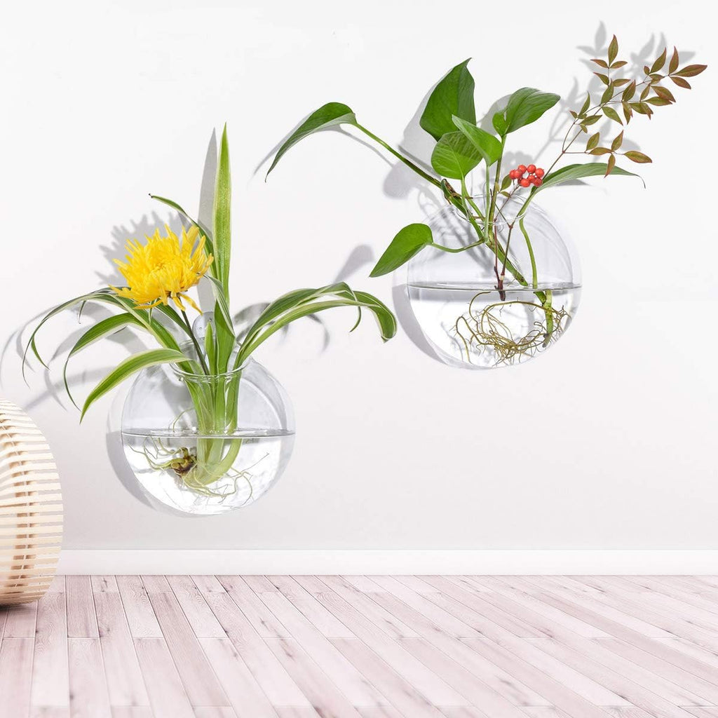 Wall Mounted Hanging Glass Vase